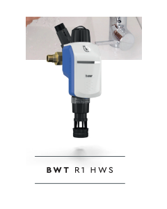 Filtro BWT R1/25 1" HWS Dif.P